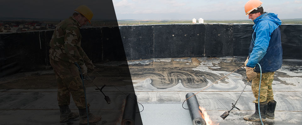 Buena Vista Roofing Contractors